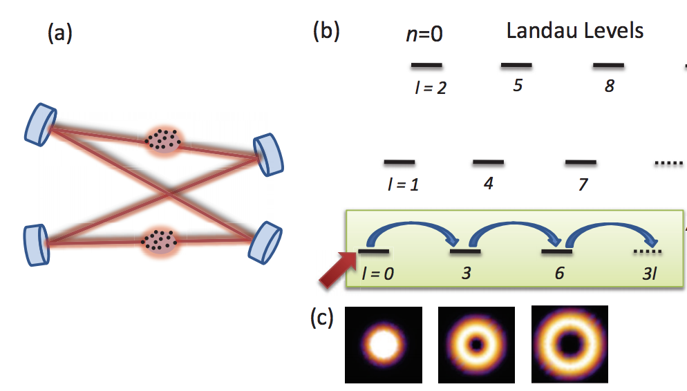 Adiabatic flux insertion and growing of Laughlin states of cavity Rydberg polaritons