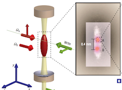 Single-photon bus connecting spin-wave quantum memories